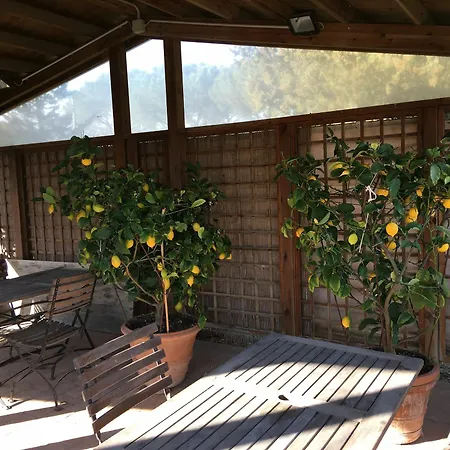 Apartamento Podere Casanova
